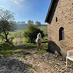 Bed & Breakfast Store Stensig Frederikshavn