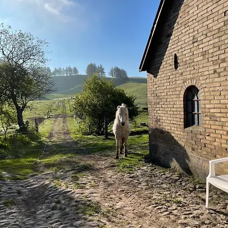 Bed & Breakfast Store Stensig Frederikshavn