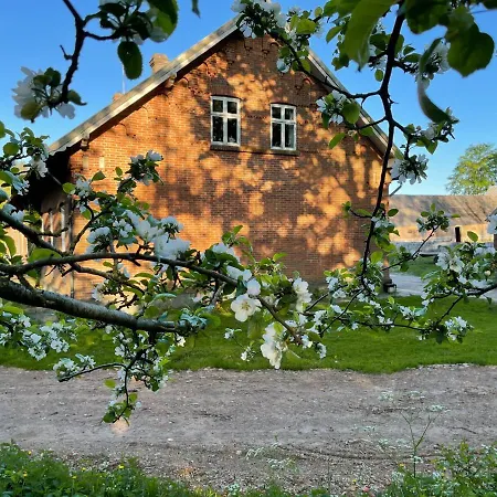 Store Stensig Bed & Breakfast Frederikshavn