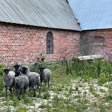 Store Stensig Bed & Breakfast *