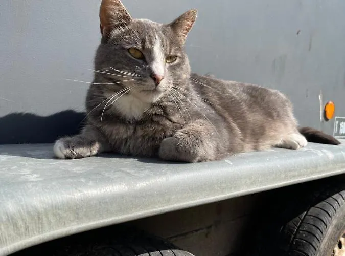 Store Stensig ベッド・アンド・ブレックファスト