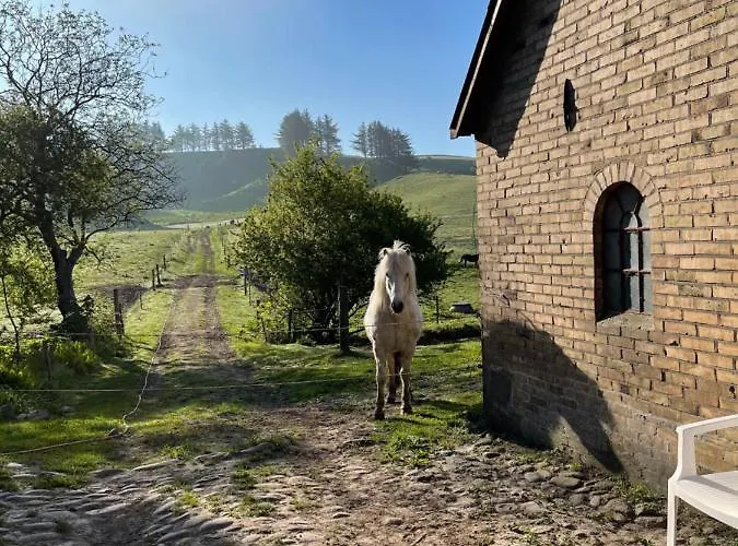 ベッド・アンド・ブレックファスト Store Stensig フレデリクスハウン