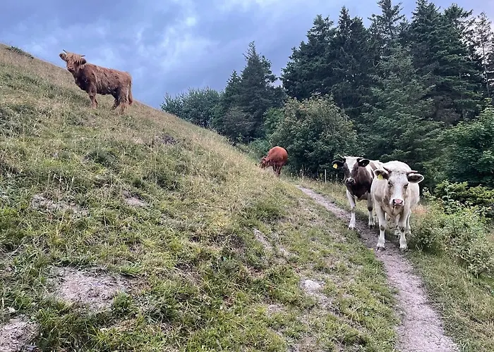 ベッド・アンド・ブレックファスト Store Stensig