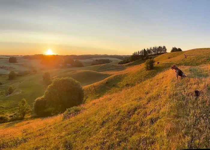 Store Stensig ベッド・アンド・ブレックファスト フレデリクスハウン