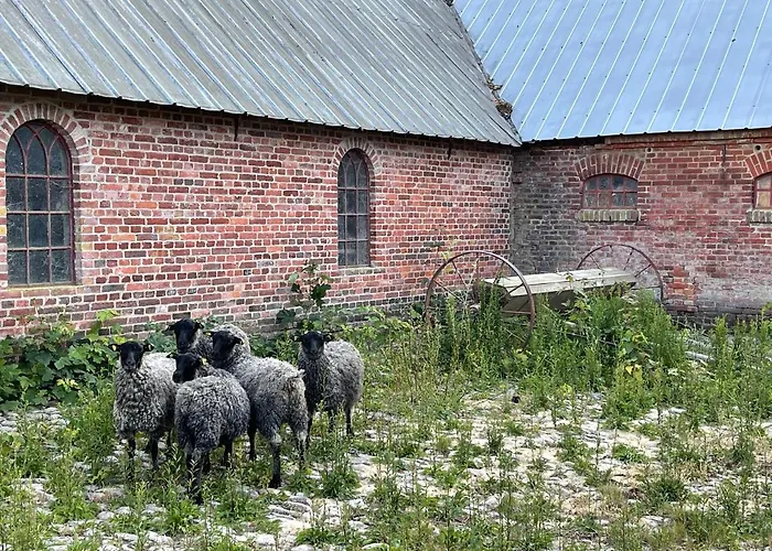 Store Stensig ベッド・アンド・ブレックファスト *